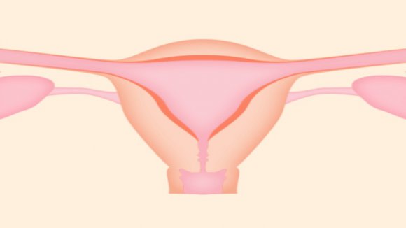 备孕不怀孕？这个和“子宫内膜”有关的